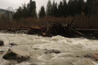 The Wood Hazard at Whirpool