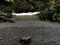 View from the Ramp at Fish Ramp Rapid
