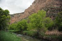 Jones Creek