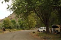 Tree of Heaven Campground