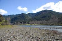 Looking Upstream on Blue Creek