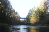 Willapa Hills State Park Trail Crossing