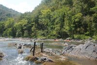 Rebar in Rebar Rapid