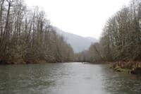 Illabot Creek confluence