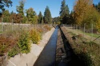 Powerdale Dam Canal