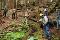 Building the Put-in Trail