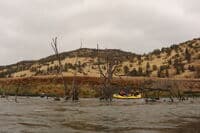 Raft Through the Ghost Forest