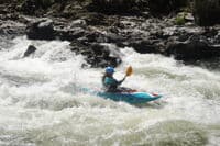 Kestrel Coming Through Windy Creek Chute