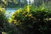 Trail at Pressentin Access