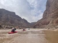Rapid 19