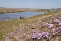 Spring on the Yakima River