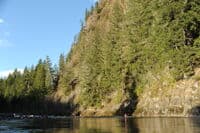 Lower NF Lewis