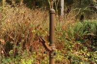 Klahanie Campground Pump