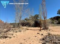 Lower Little Dolores camp