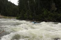 Rapid Along the Highway
