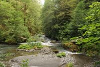 River View Below Gold Creek