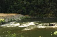 Rapid Upstream of Big Bar