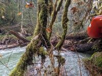 First log jam