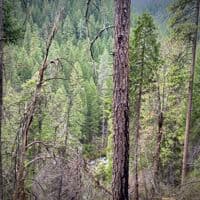 View from trail