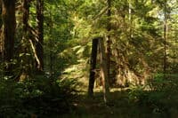 Old Elkhorn Campground Sign Post