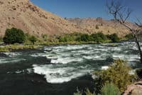 Whitehorse Rapids