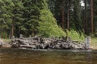 Engineered Log Jam