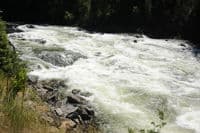 Bloody Mary Rapid