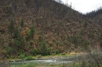 Lower Argo View from the Road