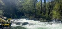 Typical Applegate whitewater