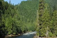 Governor Creek Rapid