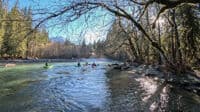 Whitechuck Confluence
