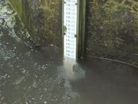 Takeout staff gauge