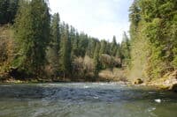 First Iron Creek Rapid