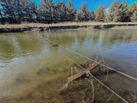 Barb wire fence near the confluence