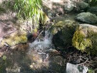 Whiskey Creek