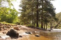 Upper Landing Shoreline