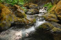 Jenny Creek
