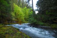 Zach on Fish Creek