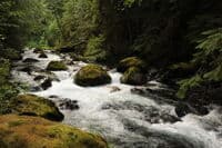 River View Below Gold Creek