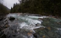 middle rapid