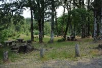 Northwestern Park Picnic Area