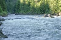 Random, nice looking rapid