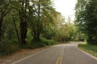 Skokomish Valley Road Access