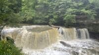 The Great Falls