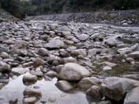 Cresta at Lower Flows