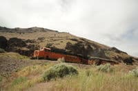 Train Near Dixon Camp