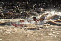 Kevin Surfing #10