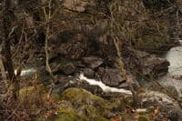 Dewatered Rapids at KOP D1.2