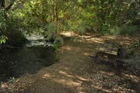 Fall Creek