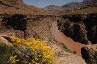 Motor Rigs Approaching Trail Canyon